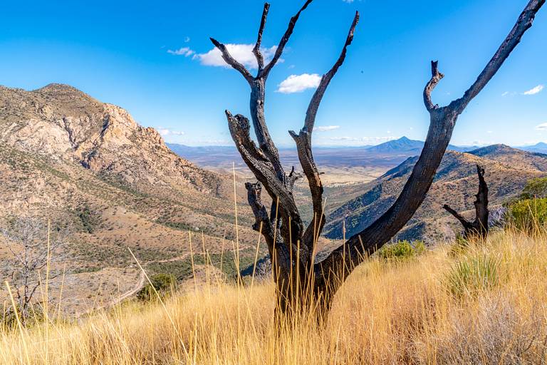 Joe's Canyon Trail