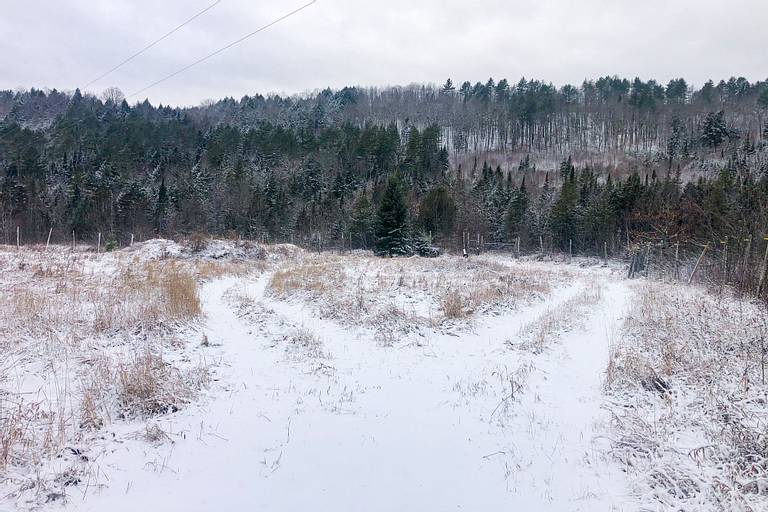 Vermont Snow