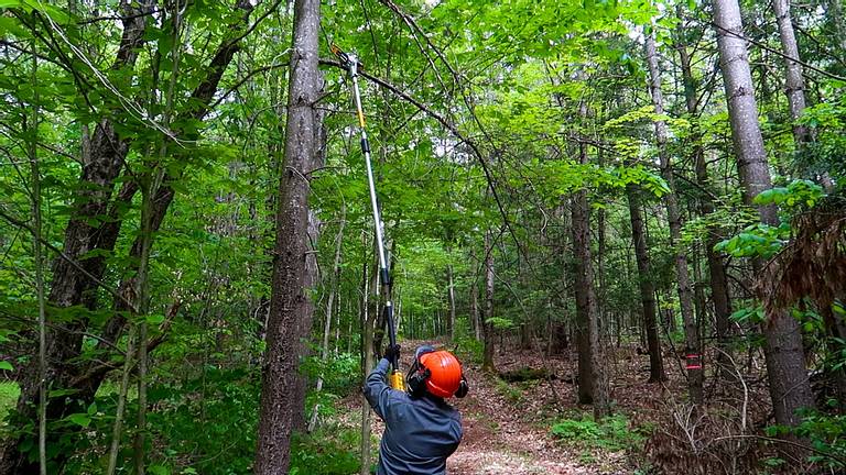 Pole Saw