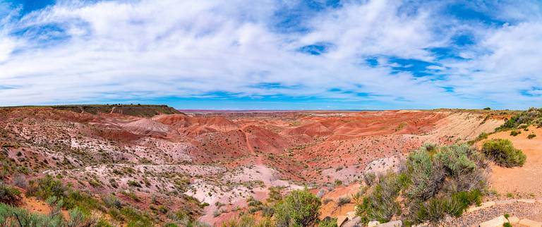 Petrified Forest Visitor Center Panorama
