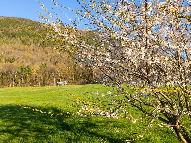 Green Mountain Family Campground Middlebury Vermont