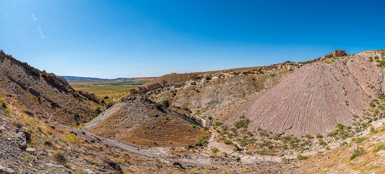 Fossil Discovery Trail Hike