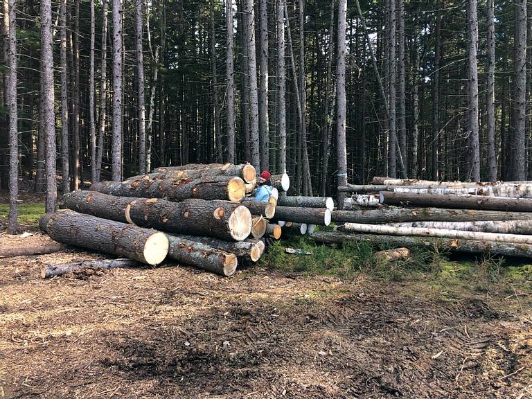 Log Pile