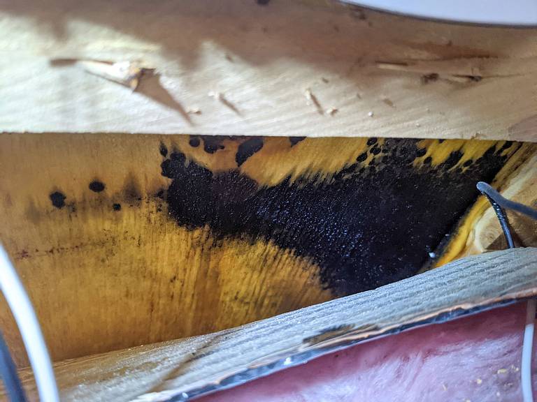 Moldy RV Roof