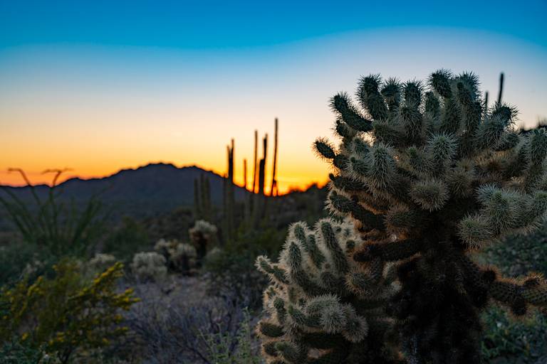 Sunset on the Desert View Trail