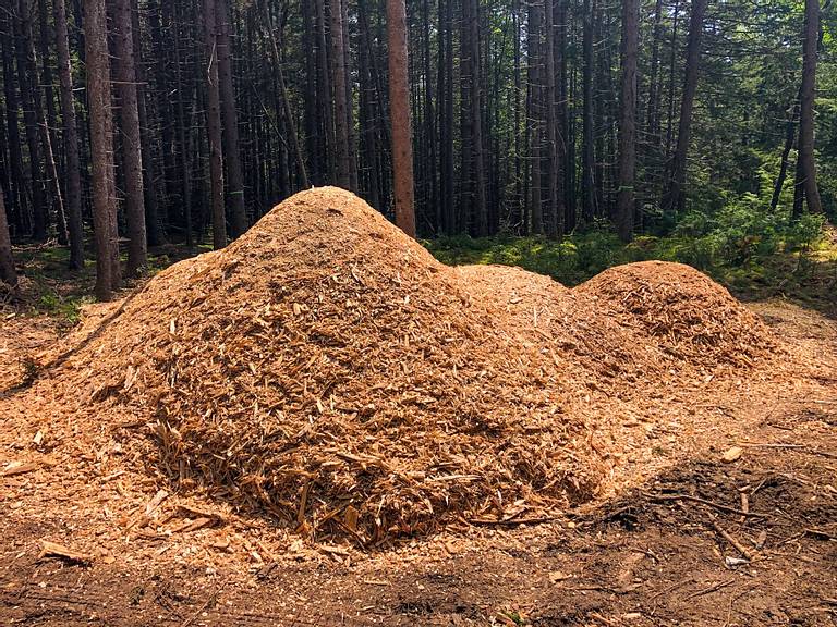 Wood Chip Piles