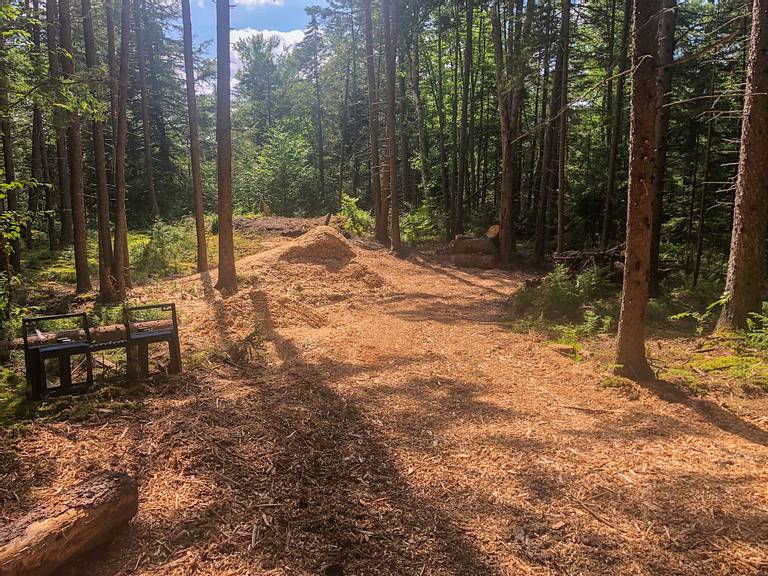 Spreading Wood Chips