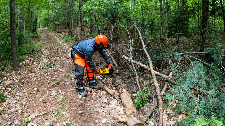 Dewalt Cordless Chainsaw