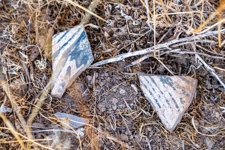 Pottery Shards