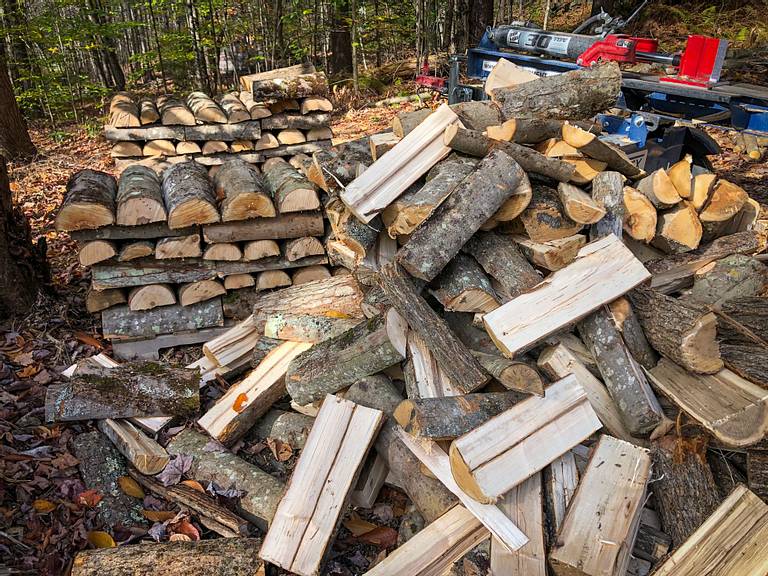 Maple Firewood