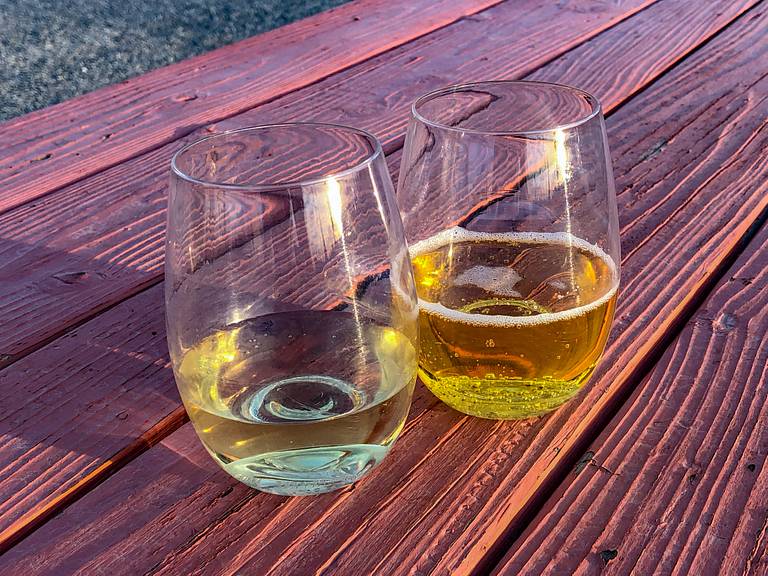Plastic Glasses