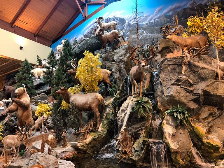 Cabelas Exhibit