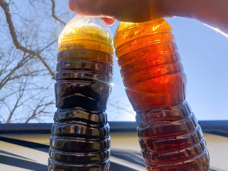 WEN First Oil Change Comparison