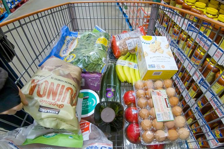 Costco Shopping Cart