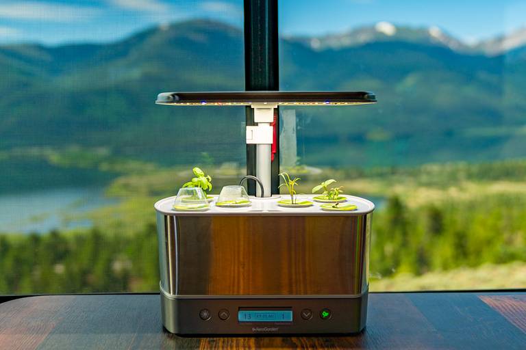AeroGarden Harvest Elite