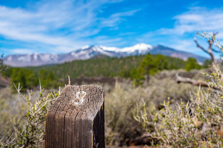 Lava Flow Trail Numbered Marker