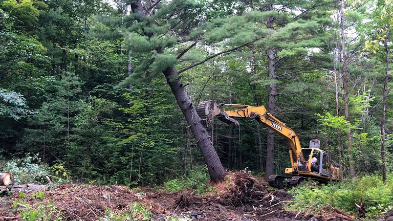 Excavator Pushing Over Tree