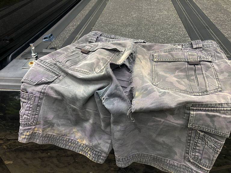 Torn Shorts