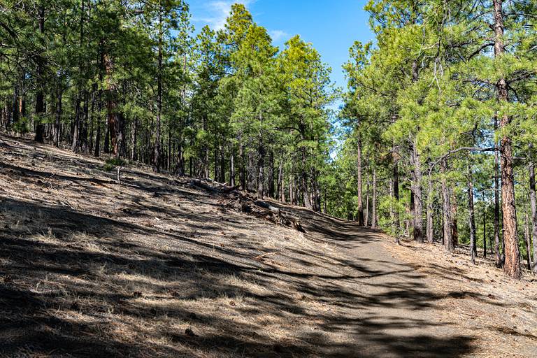 Lenox Crater Trail