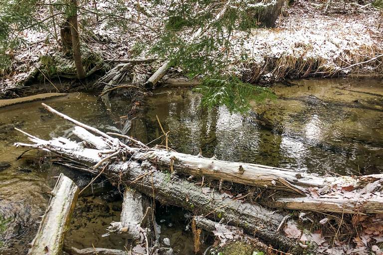 Stream in Snow