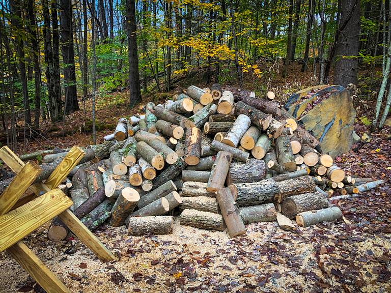 Pile of Firewood Rounds