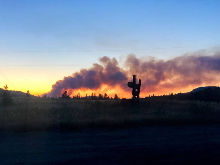 Anglin Wildfire