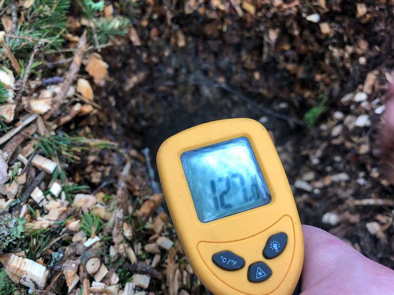 Hot Compost Wood Chip Pile