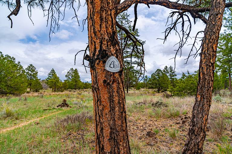 Continental Divide Trail