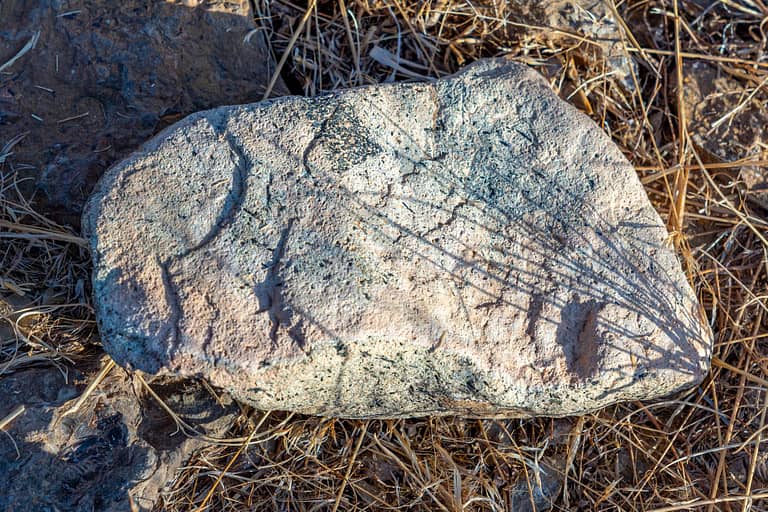 Stone Tools