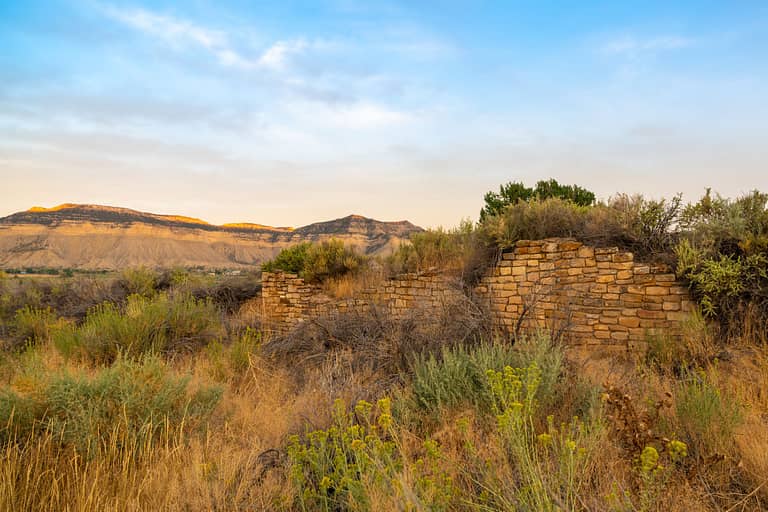 Yucca House Wall