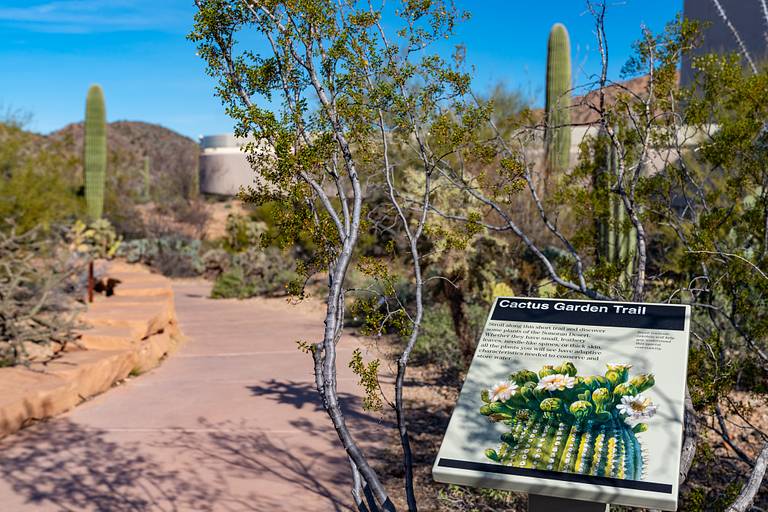 Cactus Garden Trail