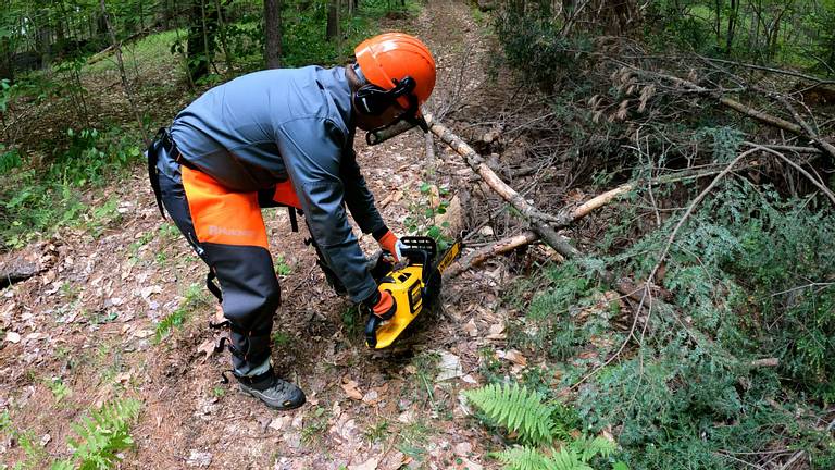 Dewalt DCCS670 Chainsaw