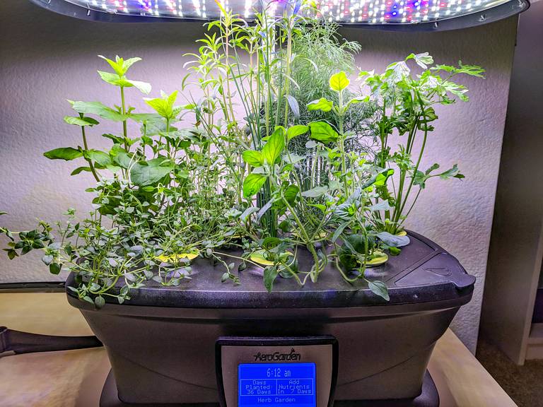 AeroGarden Ultra LED