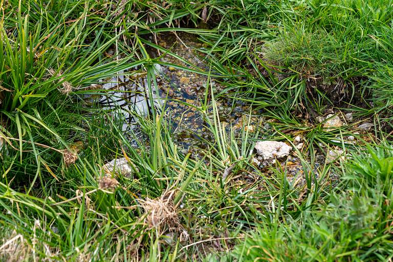 Marl Springs