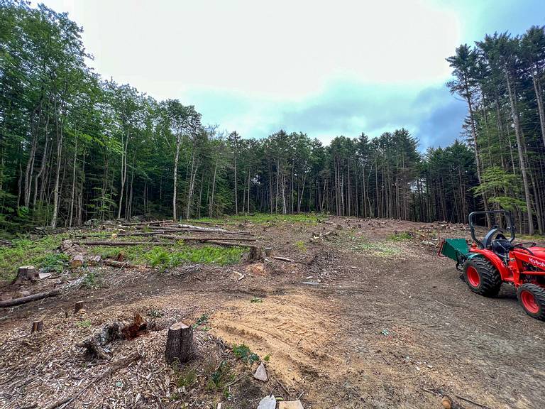 Pulling Stumps
