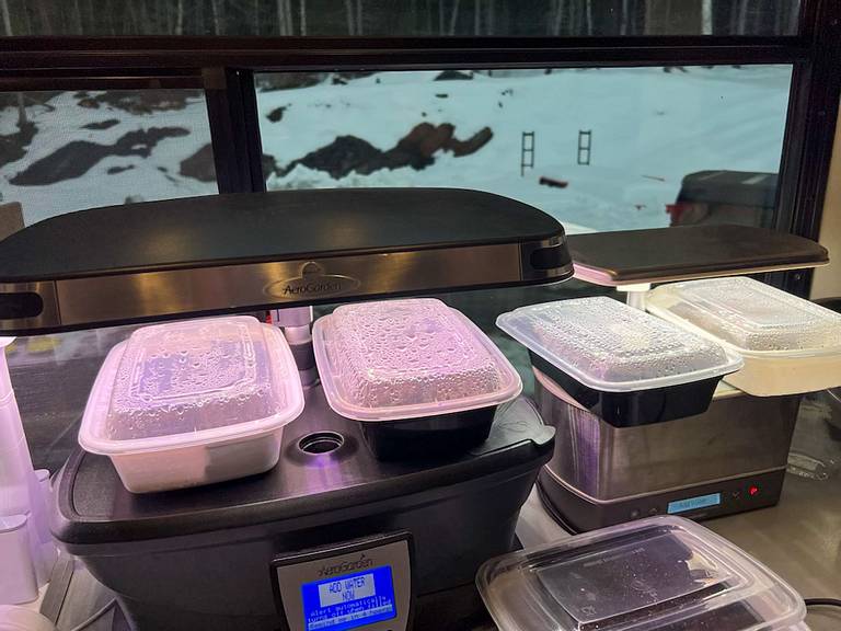 DIY AeroGarden Seed Starting