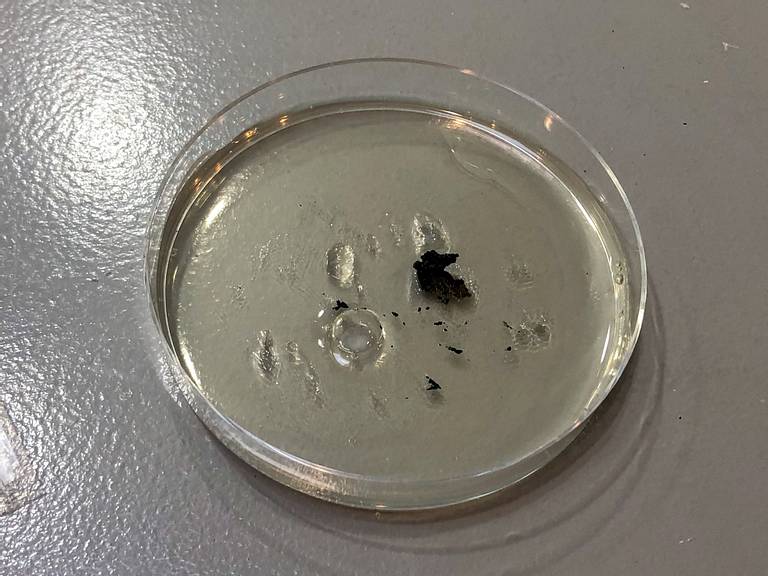 RV Mold Test