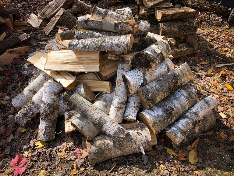 Birch Firewood
