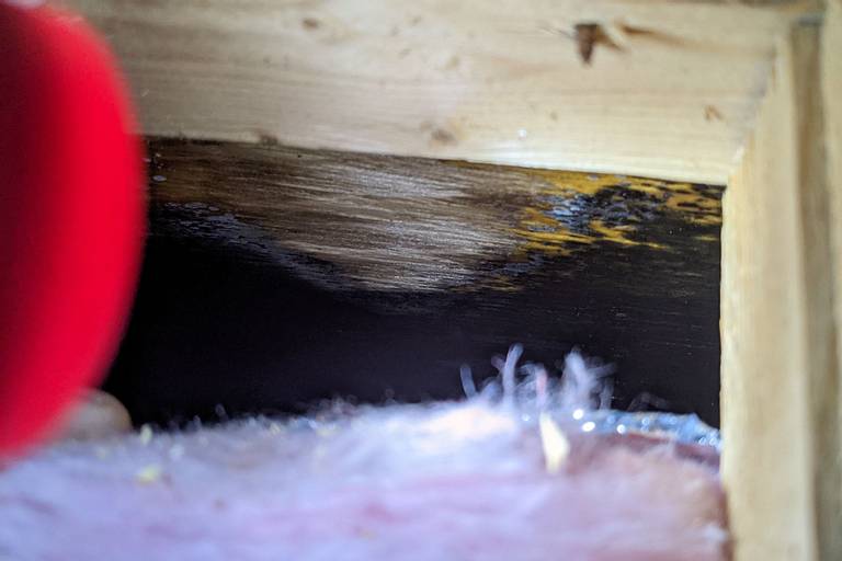 Black Mold RV Roof