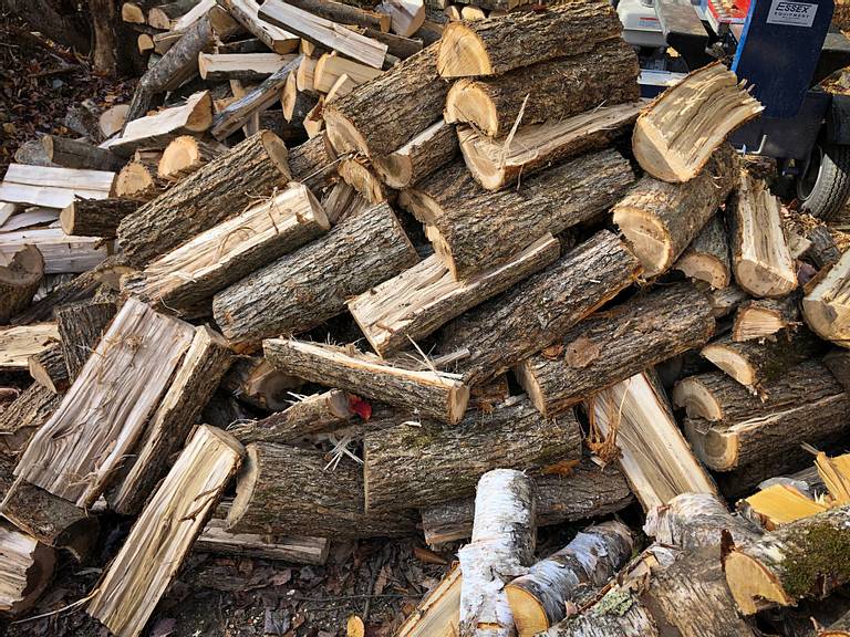 Ash Firewood
