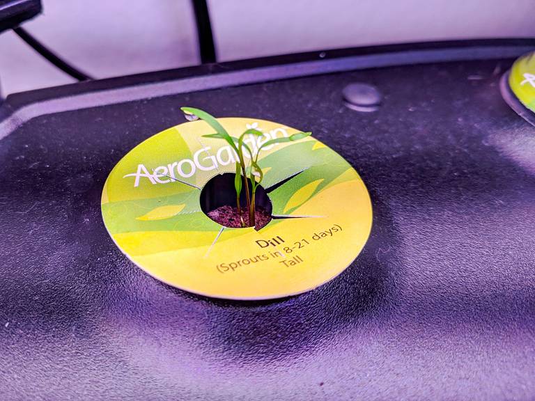 AeroGarden Pods