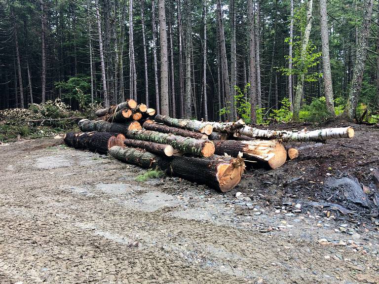 Logs for Milling
