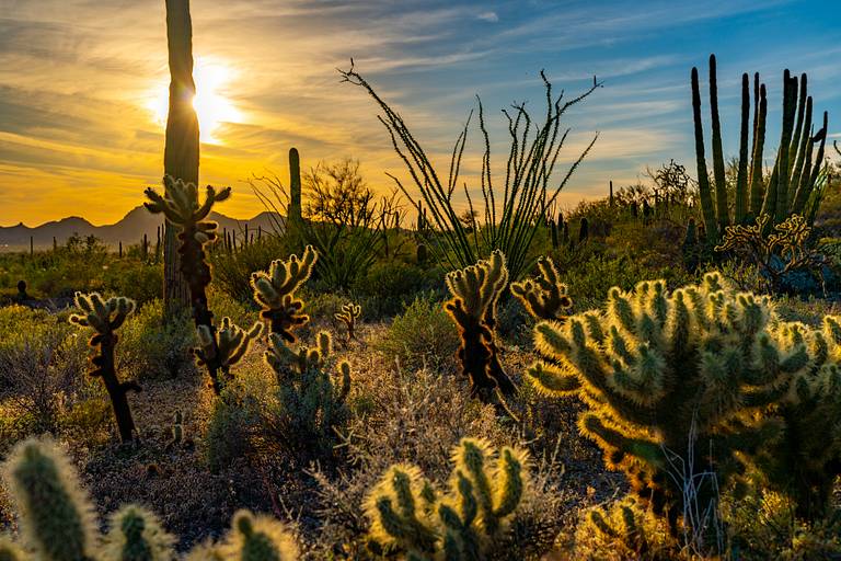 Sunrise on Victoria Mine Trail
