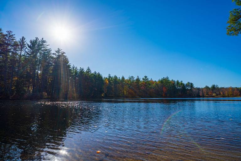 Powdermill Pond