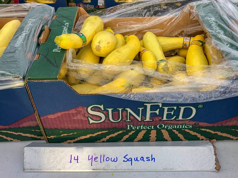 14 Squashes