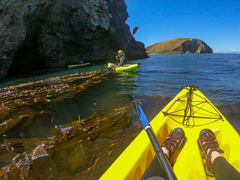 Santa Cruz Kayaking