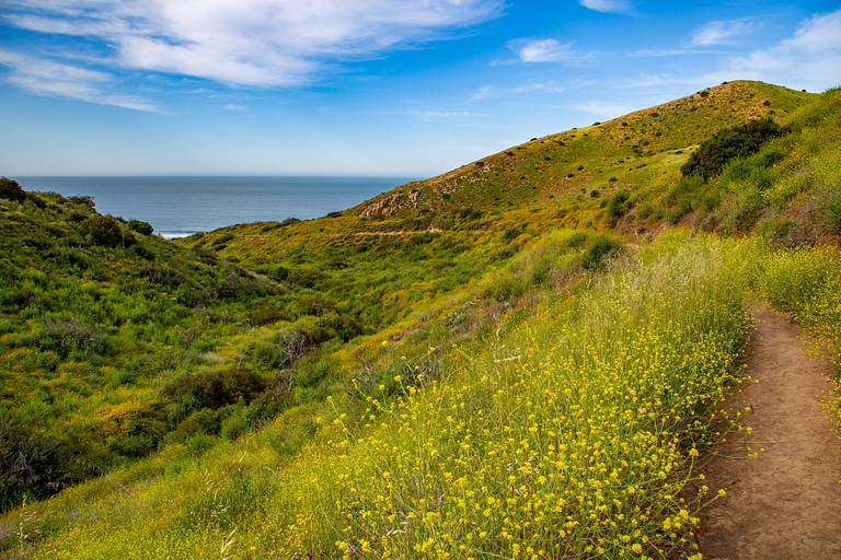 Santa Monica Mountains National Recreation Area