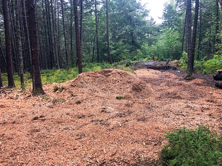 Wood Chip Pile