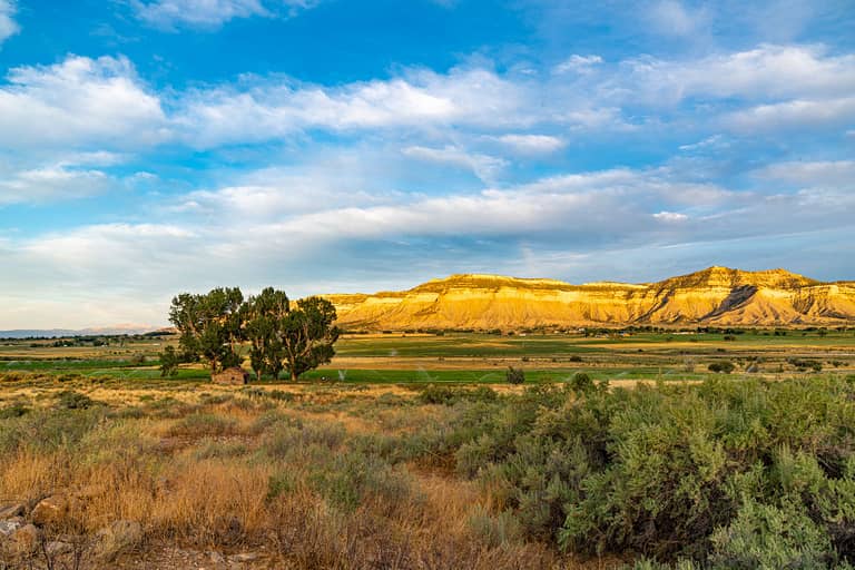 Yucca House Mesas