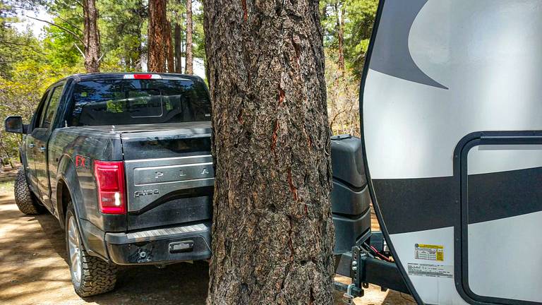 Crashing into a tree